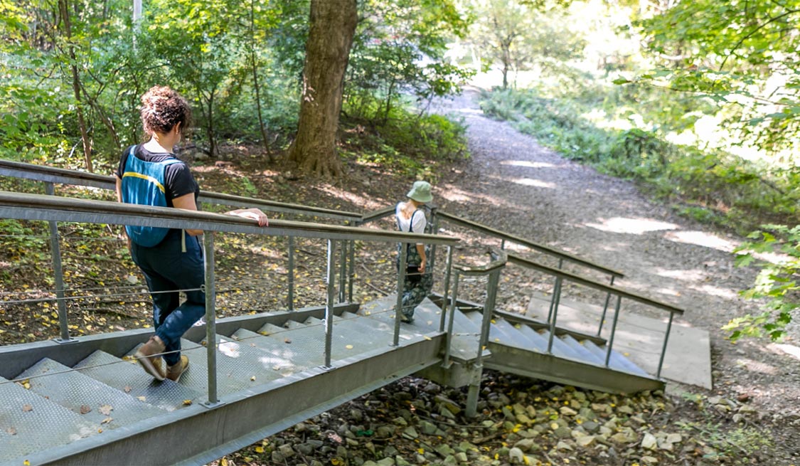 stairs on a scenic walkway